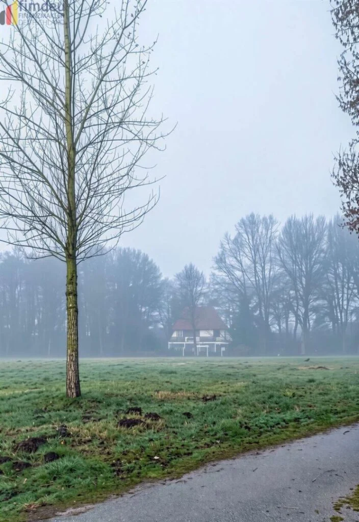 wer wischt den Nebel beiseite
