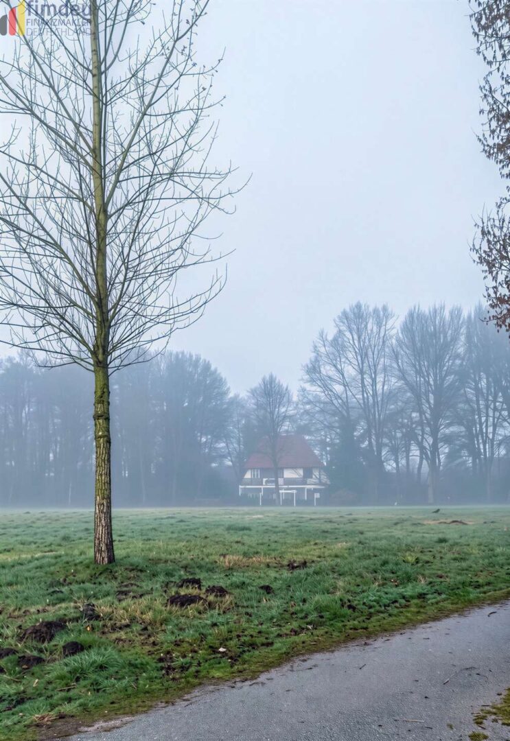 wer wischt den Nebel beiseite